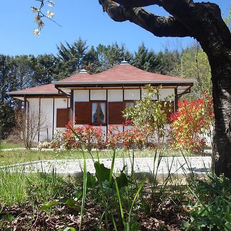 B&B The Lodge Potenza Zewnętrze zdjęcie